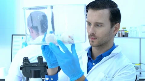 Scientist male observing behavior experiment animals in lab. 스톡 동영상 109137348