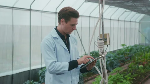 A scientist man is analyzing organic vegetables plants in greenhouse , concep Видео 205551702