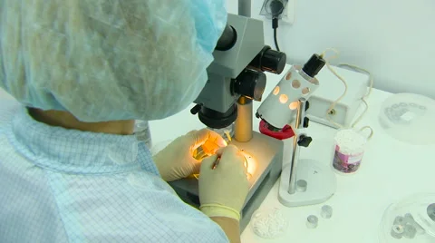 Scientist in the Mask in the Sterile Lab Working With Microscope on the Stock Footage 60999905