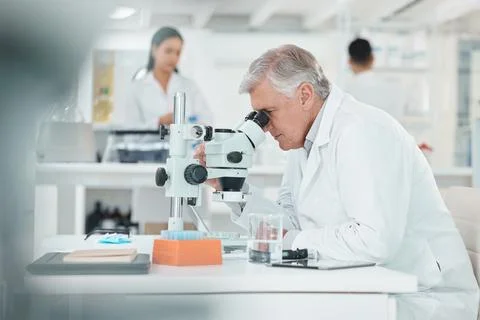 Scientist, mature man and microscope in lab for disease experiment, medical Stock Photos