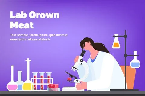 Scientist with microscope analyzing cultured red raw meat made from animal cells Illustrazione stock