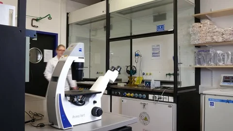 Scientist at the microscope Video stock 79848024