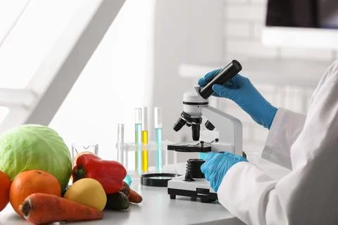 Scientist with microscope in laboratory. HACCP concept Фото