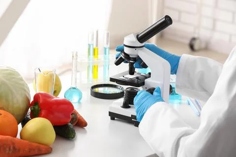 Scientist with microscope in laboratory. HACCP concept Фото