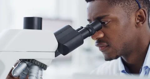Scientist, microscope or research with black man in lab for forensic study .. Stock Photos