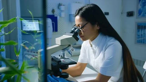 Scientist with microscope samples Stock Photos