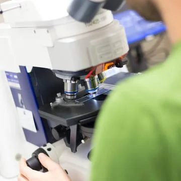 Scientist microscoping on fluorescent microscope. Male scientist microscop... Stock Photos