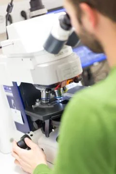 Scientist microscoping on fluorescent microscope. Stock Photos