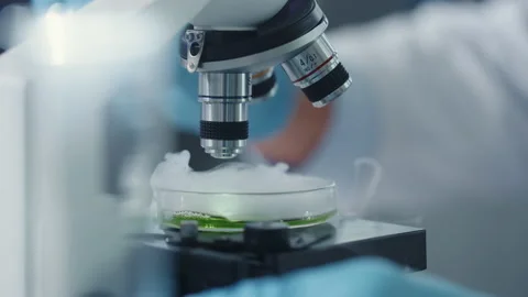 Scientist Mixing Chemicals Under Microscope Stock Footage 146069304