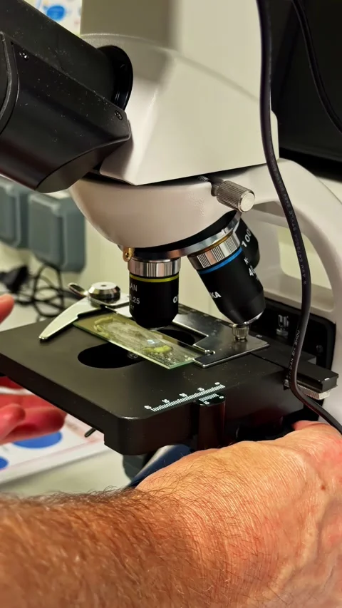 Scientist moving a specimen slide on a microscope stage for analysis Stock Footage 344422495