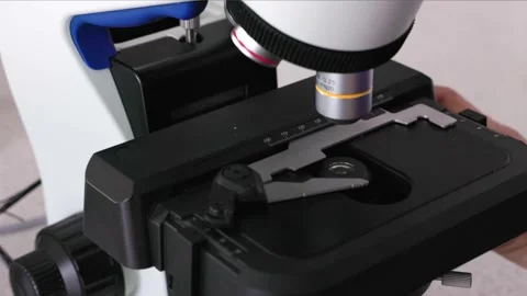 Scientist moving the stage of a microscope up down left and right 스톡 동영상 232007704