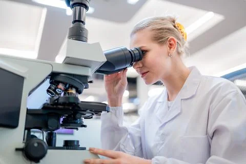 Scientist observes samples through microscope in modern lab setting during .. Stock Photos