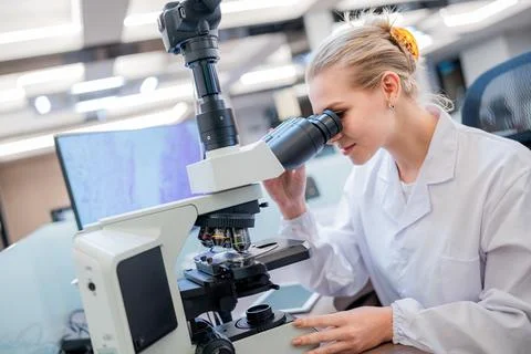 Scientist observes samples through a microscope in a modern laboratory settin Stock Photos