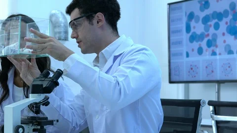 Scientist observing behavior experiment animals in lab. Rats were used in lab. Stock Footage 106868159
