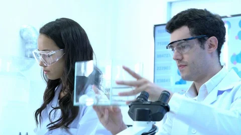 Scientist observing behavior experiment animals in lab. Video stock 108623205