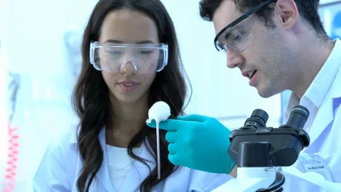 Scientist observing behavior experiment animals in lab. Video stock 108636825