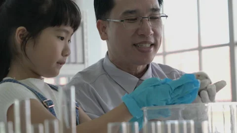 Scientist observing behavior experiment animals with little girl in lab Stock Footage 173645243