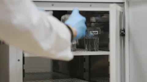 A scientist opens the refrigerator and takes out samples. Stock Footage 313169494