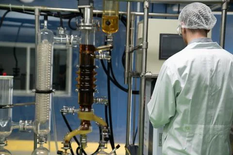 Scientist or apothecary in lab extract CBD hemp oil for medical purpose. Stock Photos