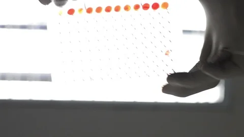 Scientist or doctor testing in laboratory for analysis or researching Stock Footage 90611941