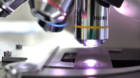Scientist or doctor testing in laboratory for analysis or researching Stock Footage 90633550