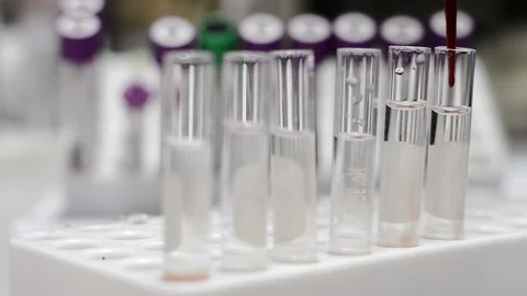 Scientist or doctor testing in laboratory for analysis or researching Stock Footage 90636647
