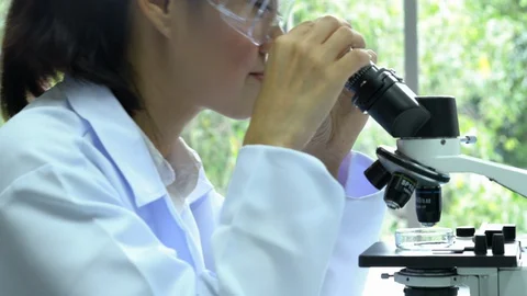 Scientist or pharmacist are looking through microscope working in modern lab. Stock Footage 129066616