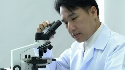 Scientist or pharmacist are looking through microscope working in modern lab. Stock Footage 129066757