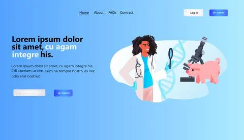 Scientist or veterinary worker doing experiments in lab with experimental pig Stock Illustration