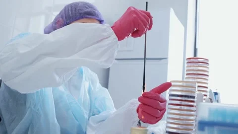 Scientist or worker in a bacteriological laboratory makes tests and analyzes Stock-Footage 189309610