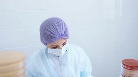 Scientist or worker in a bacteriological laboratory makes tests and analyzes Stock-Footage 194128725