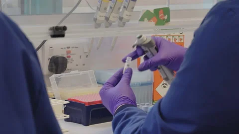 Scientist organising and preparing fluids into medical vials Stock Footage 202106609