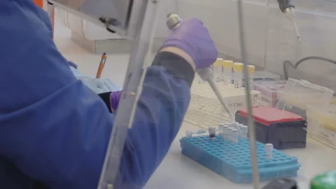 Scientist organising and sorting fluids into medial vials Stock Footage 202106240