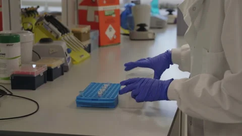 Scientist organising and sorting fluids into medical vials in rack Stock Footage 202117954