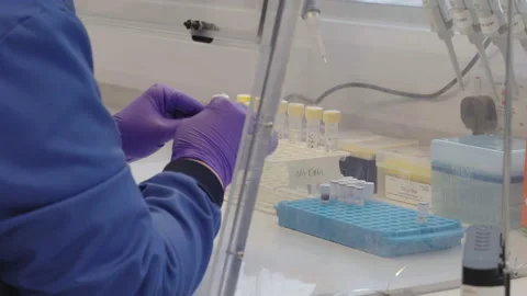 Scientist organising and sorting through medical vials in lab Stock Footage 202105709