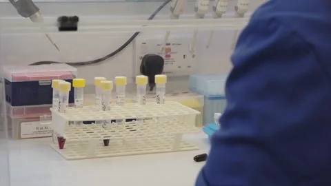 Scientist organising and sorting through medical vials in rack Stock Footage 202105840