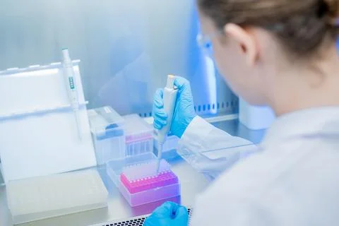 Scientist performs precise liquid handling in laboratory under clean condit.. Stock Photos