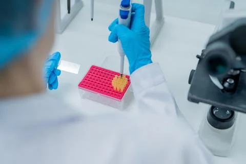 Scientist performs sample testing in a laboratory using a pipette and micro.. Stock Photos