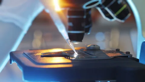 Scientist pipettes a sample of liquid onto the glass of a microscope. Stock Footage 302175443