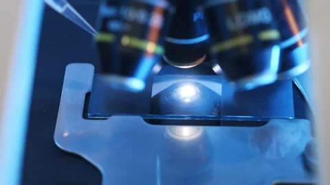 Scientist pipettes a sample of liquid onto the glass of a microscope. Stock Footage 302175823