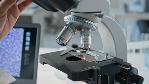 Scientist Pipetting Blood Sample Onto Microscope Slide in Laboratory Stock Footage 347050584