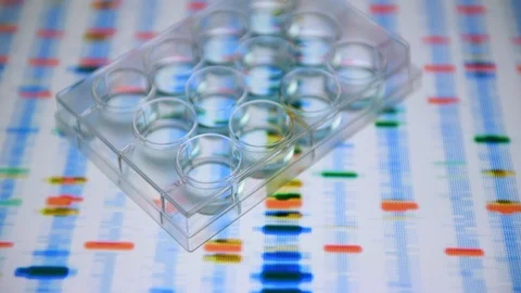 Scientist pipetting a DNA sample into a multi well plate with a DNA profiles on Stock Footage 129918752