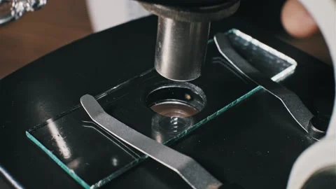Scientist Pipetting Liquid Specimen On Microscope Plate Stock Footage 329914744