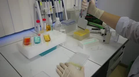 Scientist Pipetting Sample in Modern Chemical Laboratory Stock Footage 11139441