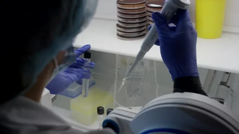 Scientist Pipetting Sample In Safety Cabinet, Research Laboratory, Close Up Shot Stock Footage 341332197