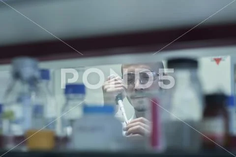 Scientist pipetting sample in test tube in research laboratory Stock Photos