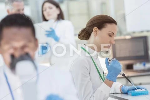 Scientist pipetting sample into tray in laboratory Stock Photos