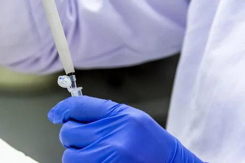 Scientist pipetting the sample into the tube while wearing protective gloves  Stock Photos
