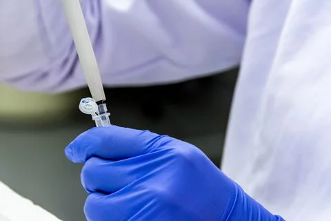 Scientist pipetting the sample into the tube while wearing protective gloves  Stock Photos