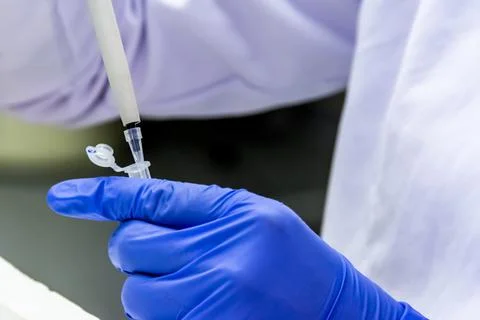 Scientist pipetting the sample into the tube while wearing protective gloves for Stock Photos